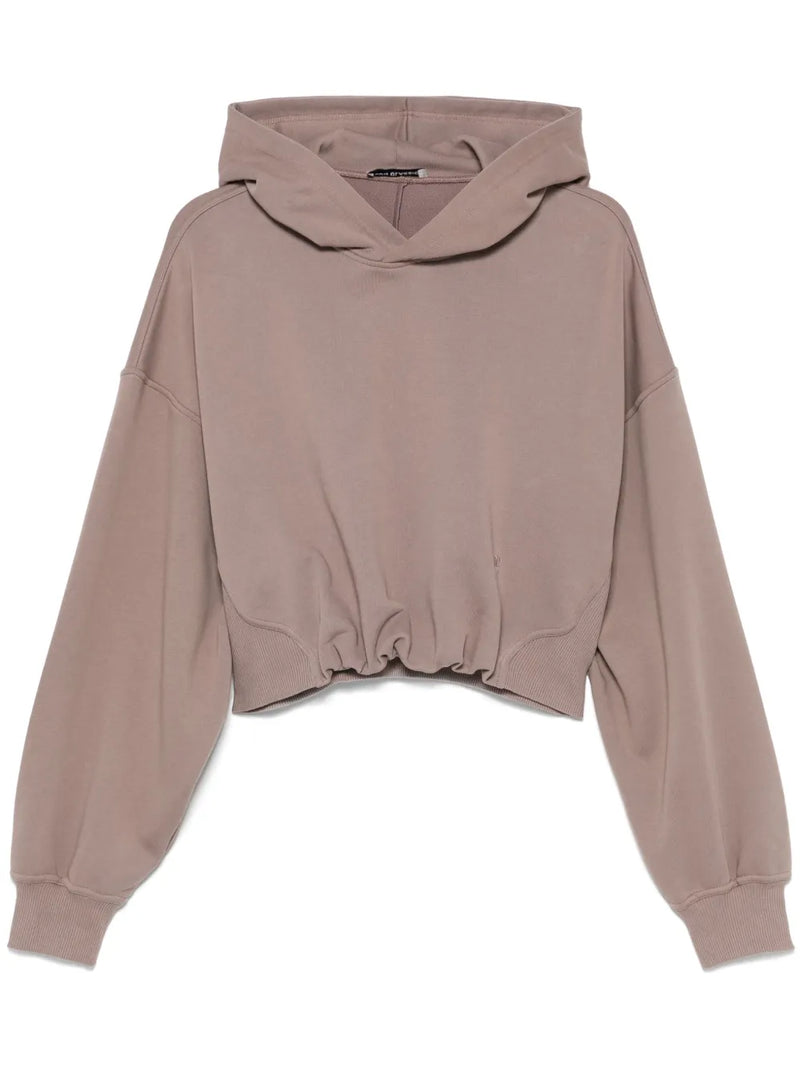 Back Rib Crop Hoodie - Red Brown